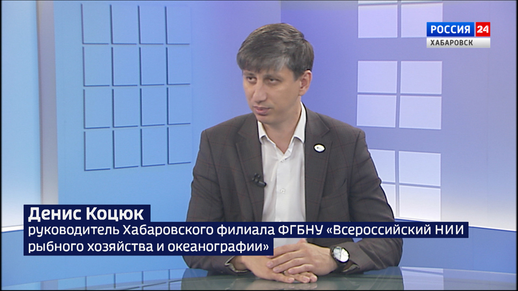 Промышленный вылов рыбы разрешён в крае впервые за 4 года: какой объём вылова прогнозирует наука