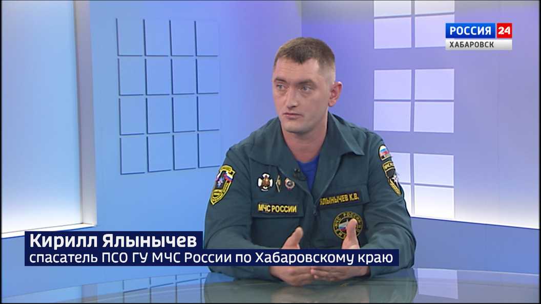 Сезон сбора дикоросов в Хабаровском крае в самом разгаре: как не потеряться в лесу