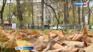 Первые заморозки ожидаются в Хабаровском крае уже на этой неделе