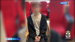 Курьера телефонных мошенников задержали в Хабаровске, возбуждено уголовное дело