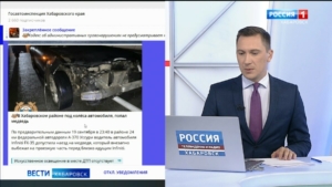 Смотрите в 21:10. Медведь погиб под колёсами автомобиля в Хабаровском районе