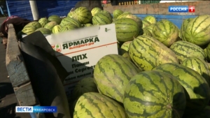 Новое место со всеми удобствами получили фермеры региона: краевая сельхоз-ярмарка сменила прописку