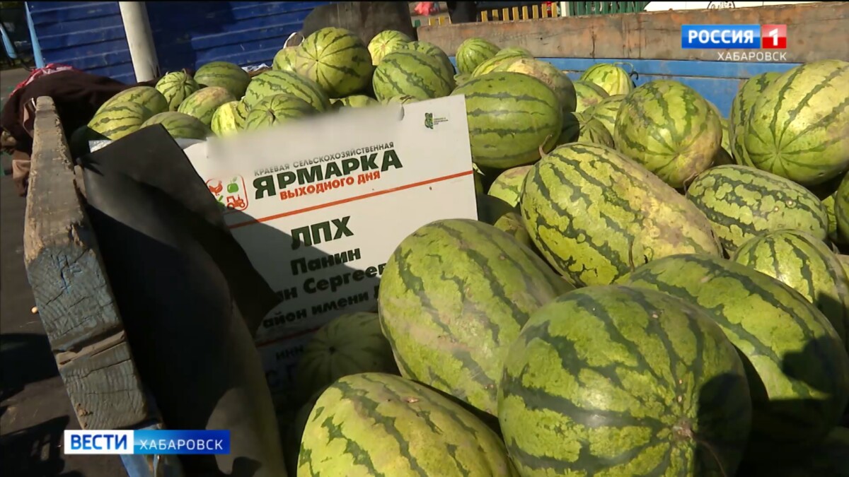 Новое место со всеми удобствами получили фермеры региона: краевая сельхоз-ярмарка сменила прописку
