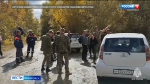 Поиски женщины, пропавшей во время сбора грибов, продолжаются в Хабаровском районе