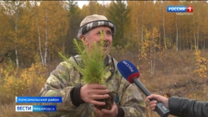 Жители Города юности и Комсомольского района присоединились к Всероссийской акции «Сохраним лес»