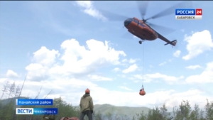 Пять возгораний зафиксировано в Хабаровском крае, группировку пожарных в тайге увеличивают