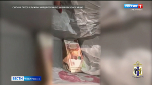Миллион под деревом пролежал в центре Хабаровска целые сутки