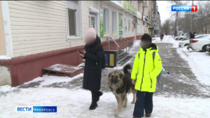 Смотрите в 21:10. Глава Следкома контролирует следствие по нападению собак на ребёнка в Хабаровске