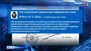 Дмитрий Демешин подписал постановление об ограничениях в работе мигрантов в Хабаровском крае