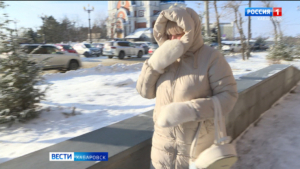 Минувшая ночь стала самой холодной с начала зимы в Хабаровске