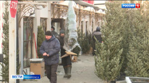 «Ёлочные базары» официально открылись в Хабаровском крае