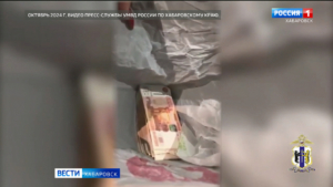 Одной подругой меньше: хабаровчанка, укравшая миллион, выслушала приговор