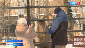 «Все на улицу, гулять!»: тепло пришло в Хабаровский край из Монголии и задержится надолго