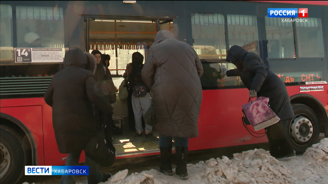«Это позор»: мэр Хабаровска оценил работу коммунальных служб по уборке города от последствий циклона