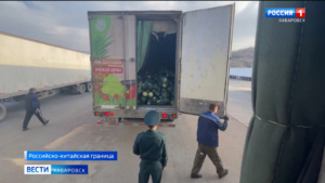 В Россельхознадзоре усилили проверки овощей и фруктов из Китая на пунктах пропуска Дальнего Востока