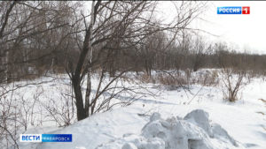 Мэрию Хабаровска через суд обязали построить дорогу к участкам многодетных семей