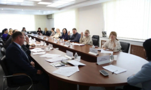 Екатерина Серикова переизбрана председателем общественного совета при комитете по информполитике