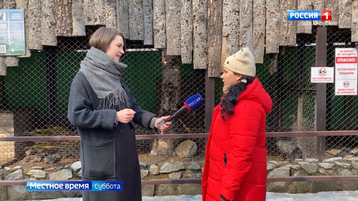 Местное время. Уникальную орнитологическую экскурсию устроили в зоосаде «Приамурский» ко Дню птиц
