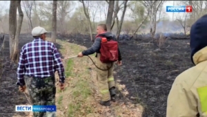 Пожарные не дали распространиться палу сухой травы в районе имени Лазо