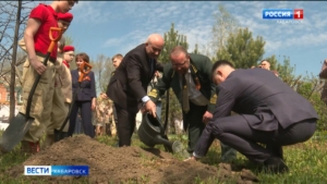 В сквере Города Воинской славы Хабаровска прошла акция «Тополь Победы»