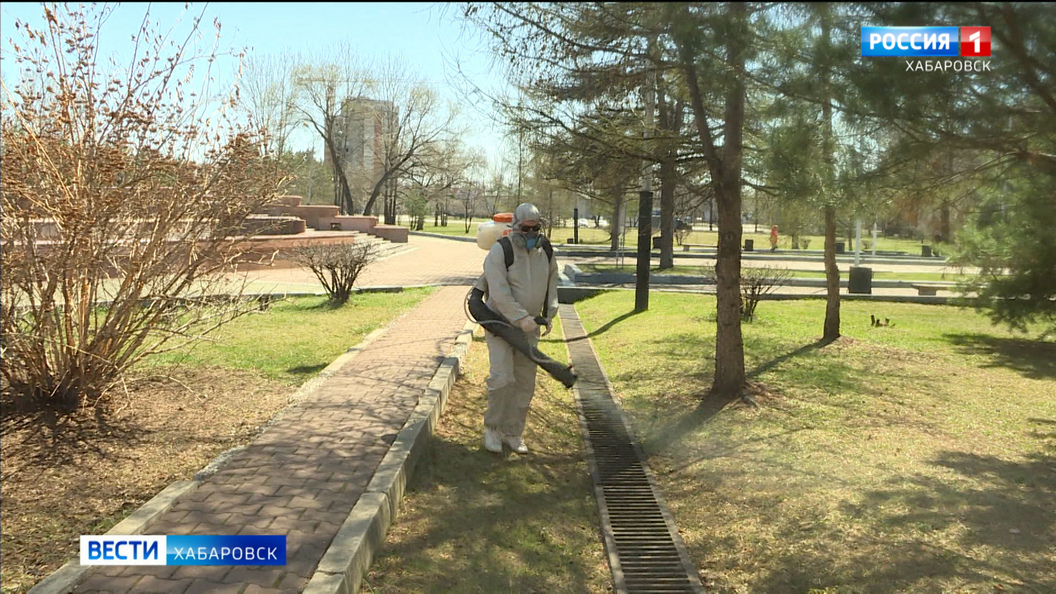 Количество пострадавших от клещей увеличивается в Хабаровском крае