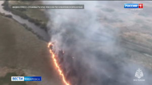 Восемь дачных домов сгорели в Комсомольске-на-Амуре из-за палов травы