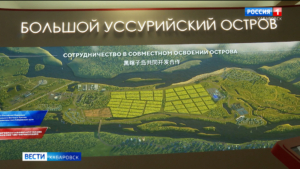 Курортный комплекс со СПА и яхт-центром готов создать на Большом Уссурийском федеральный застройщик
