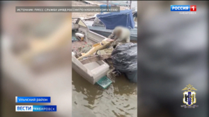 Четверых жителей края задержали на добыче краснокнижной рыбы