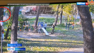 Грузовик сбил троих детей в районе имени Лазо, расследование ДТП контролирует Александр Бастрыкин