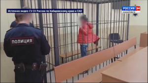 За систематическое избиение дочери отправлена под стражу жительница поселка Березовка в Хабаровске