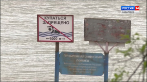Ещё одна трагедия на воде: в Хабаровске на базе «Дельфин» предположительно утонул 42-летний мужчина