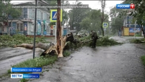 Последствия мощного урагана устраняют в Николаевском и Комсомольском районах края
