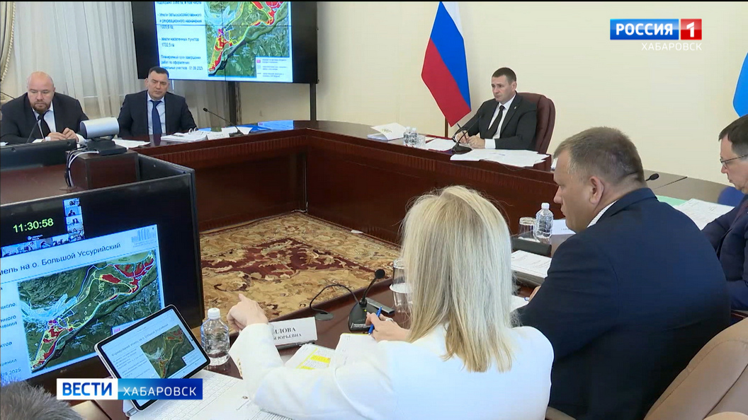 Дмитрий Демешин поручил разобраться с законностью владения участками на Большом Уссурийском острове