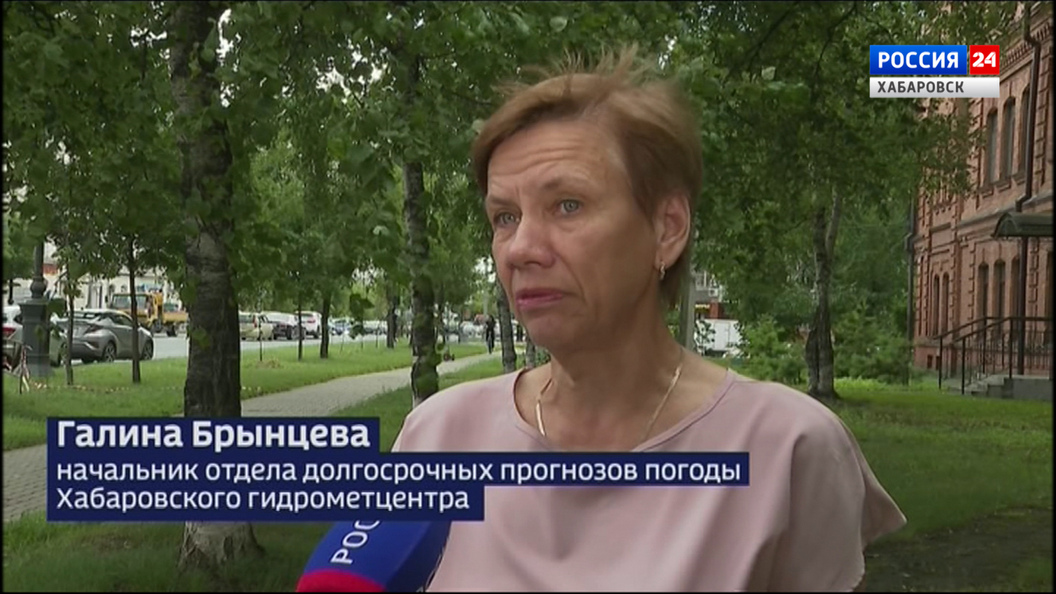 Краевой Гидрометцентр: в Хабаровске сегодня ближе к вечеру ожидается вторая волна циклона