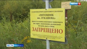 Экологи и природоохранная прокуратура выясняют собственника крупной свалки рядом с Ореховой сопкой