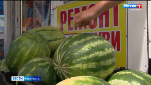 «Не могу без них жить!»: в Хабаровске начался сезон самой крупной и сладкой ягоды – арбузов