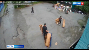 Владельцев нелегального мусора в Хабаровске вычислят с помощью «цифры»