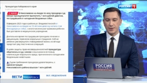 Миллион рублей выплатит администрация Николаевска-на-Амуре ребёнку, пострадавшему от нападения собак