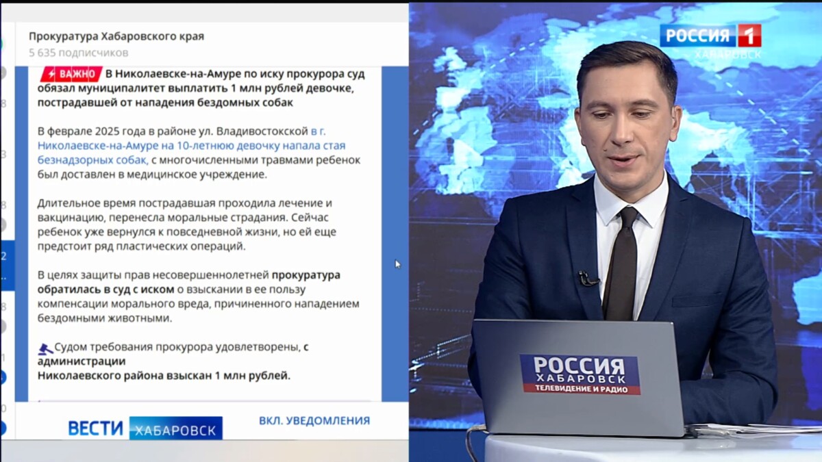 Миллион рублей выплатит администрация Николаевска-на-Амуре ребёнку, пострадавшему от нападения собак
