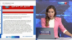 Три с половиной часа потребовалось, чтобы потушить пожар в селе Краснореченском