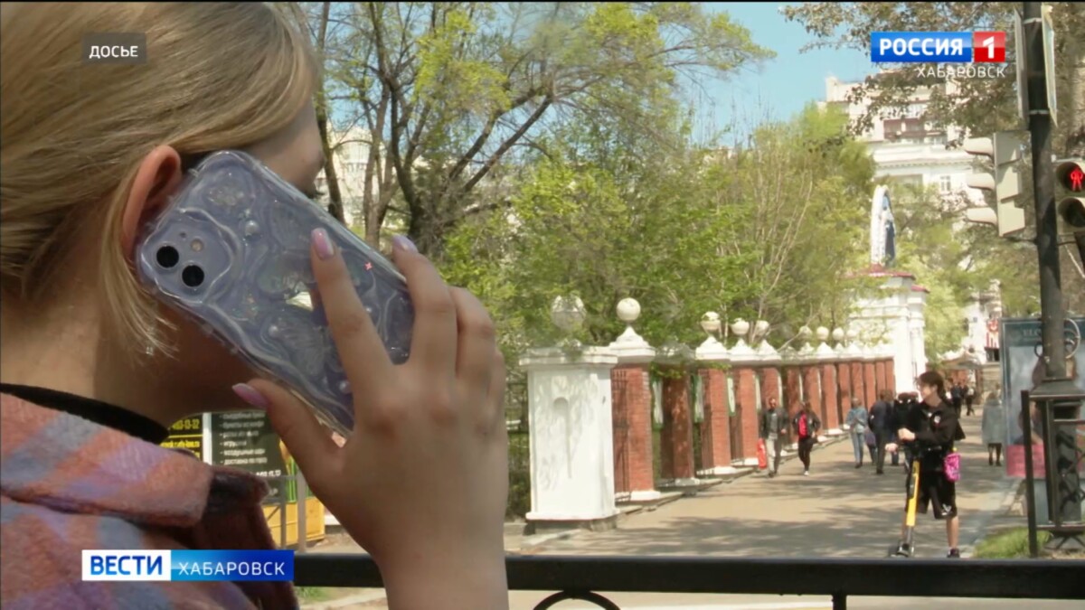 С начала года жертвами интернет-преступников в Хабаровском крае стали 2 380 человек