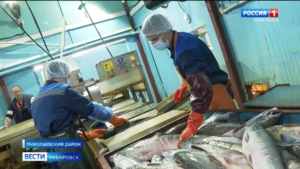 «Тяжело, но есть и азарт, и силы»: около 200 студентов работают на путине в Николаевском районе