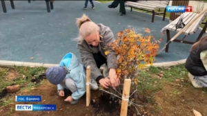 «Это наш вклад в будущее»: более 600 саженцев высадили в Ванинском районе во время эко-фестиваля