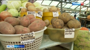 «Наш картофель не то, что хороший, а вкусный!»: местный корнеплод появился на прилавках Хабаровска