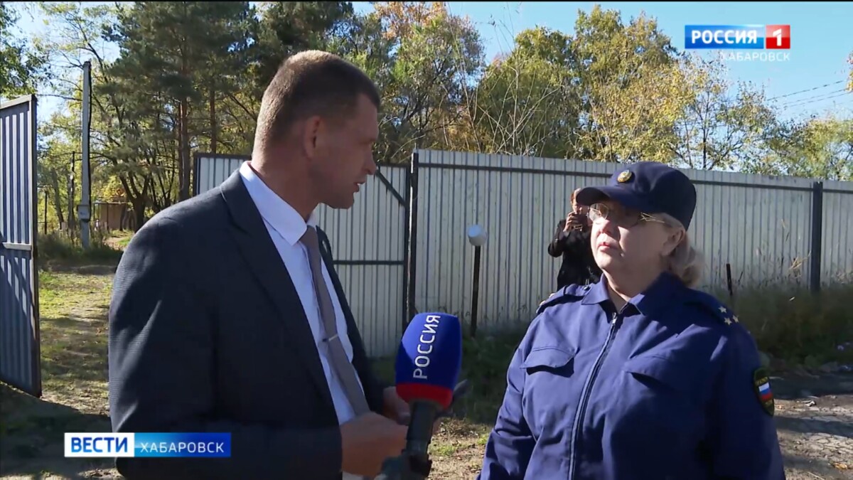 Видеосюжеты