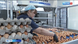 Нейросеть в помощь птичникам: на хабаровской птицефабрике запустили искусственный интеллект