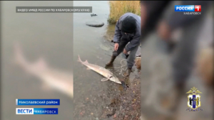 На 60-летнего рыбака завели уголовное дело за ловлю краснокнижного осетра