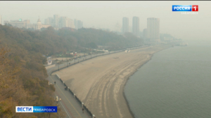 Лесные пожары и возгорания сухой травы в Китае стали причиной сильного задымления в Хабаровске