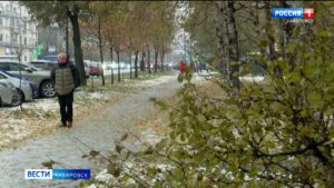 Первая декада ноября ещё порадует хабаровчан теплом – ожидается до плюс 8 градусов