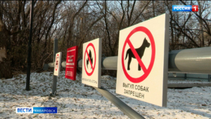 Хабаровский питомник имени Лукашова планируют превратить в популярное место для тихого отдыха